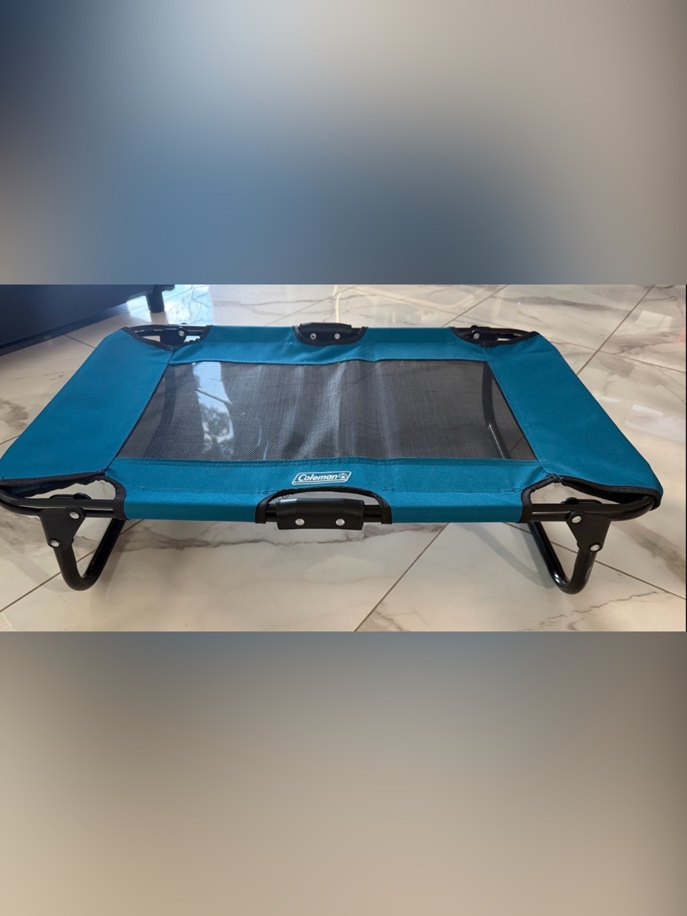 Portable blue Coleman camping cot/chair